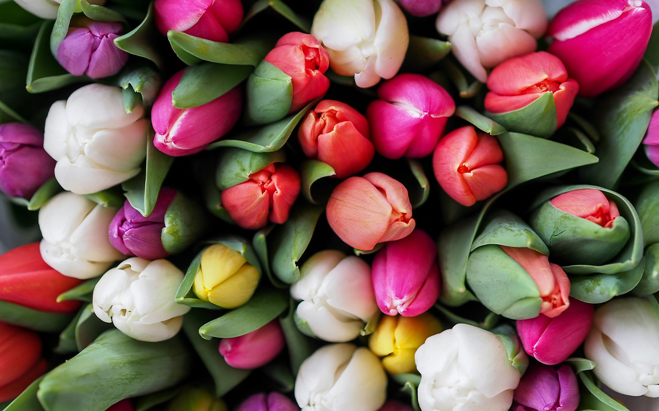 Dagens horoskop: 17 april 2025