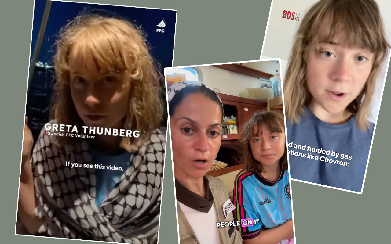 5 saker du vill veta om Greta Thunbergs Freedom Flotilla-aktion