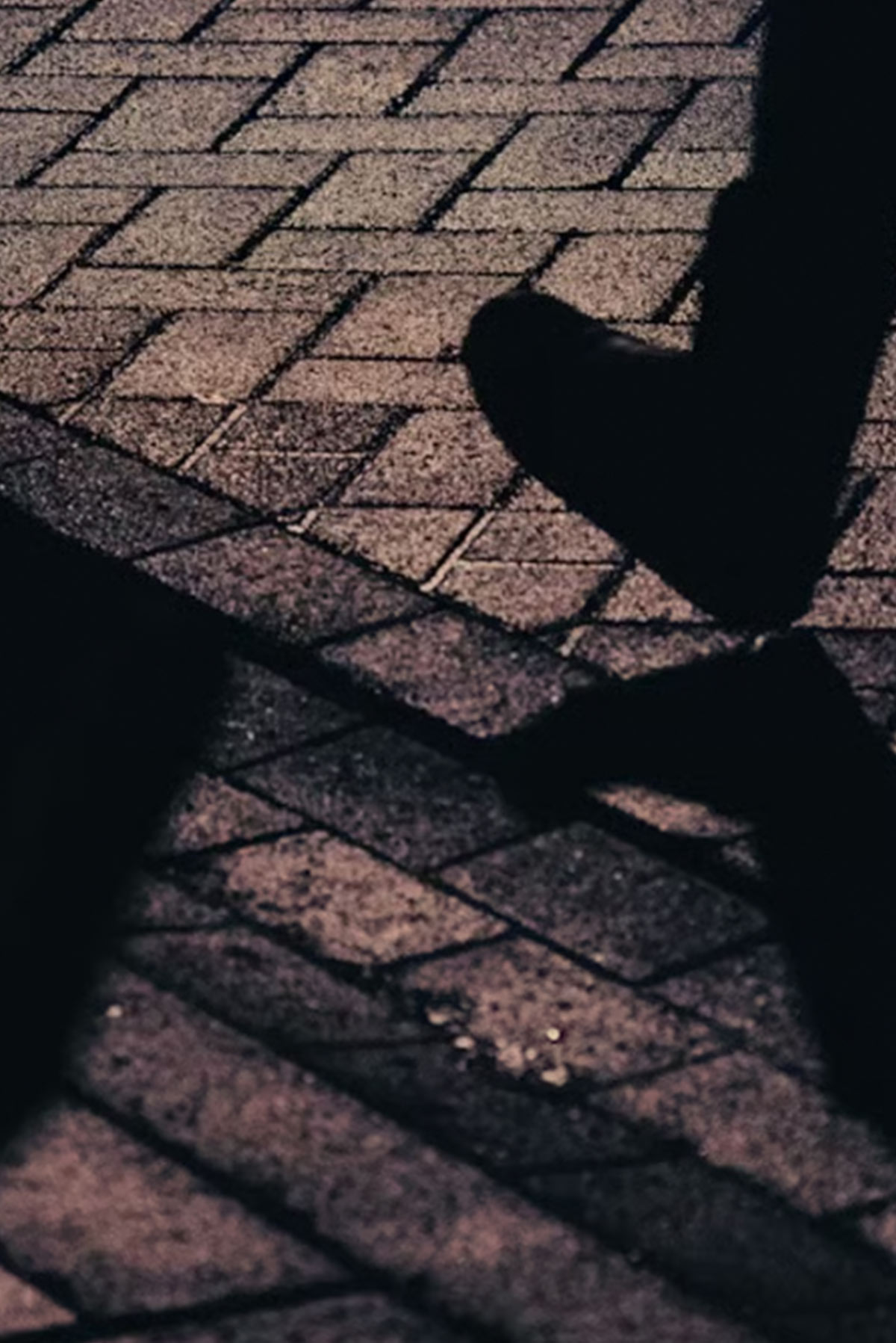 Tonåringar kan utvisas trots ”paus”