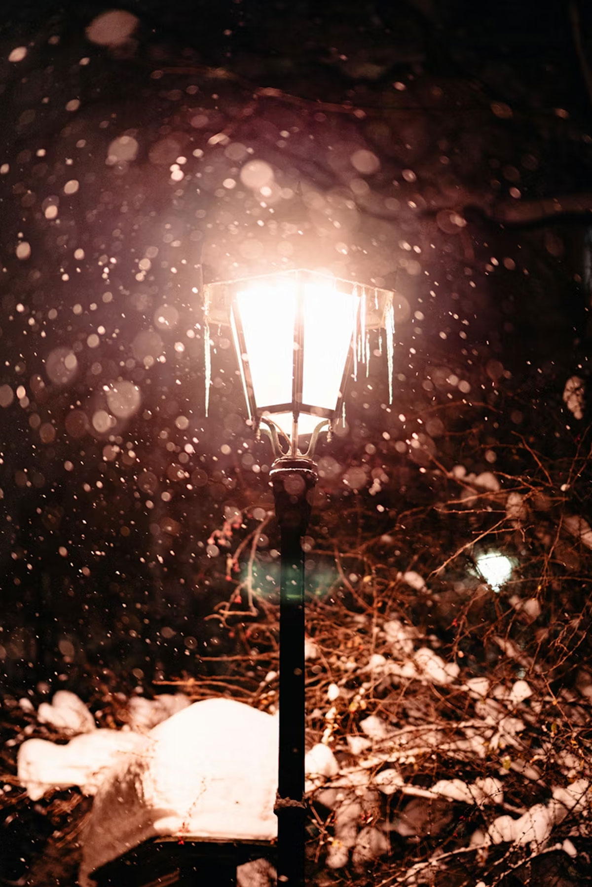 Dagens horoskop: 28 december 2025