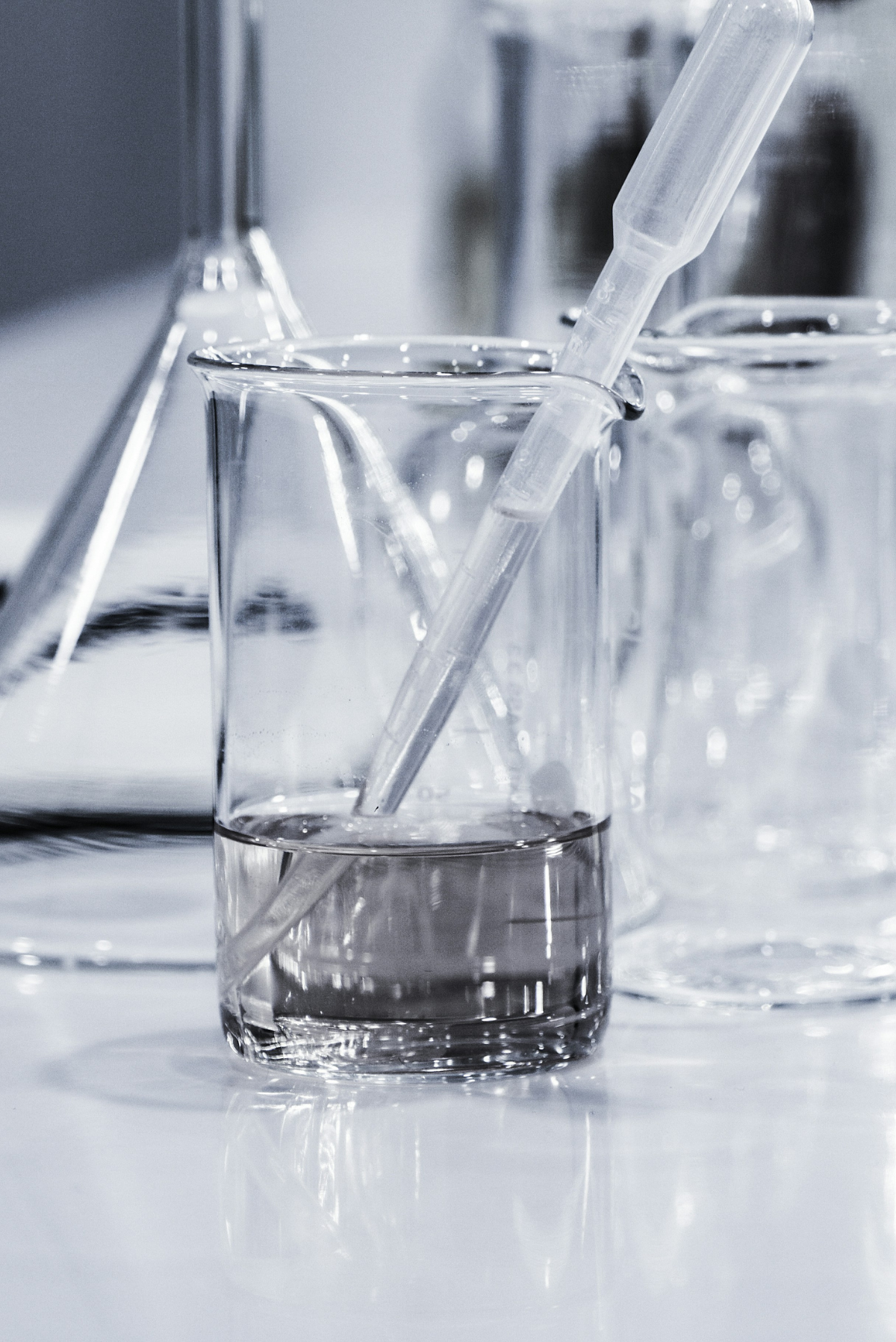 SD-politikerns provsvar har kommit