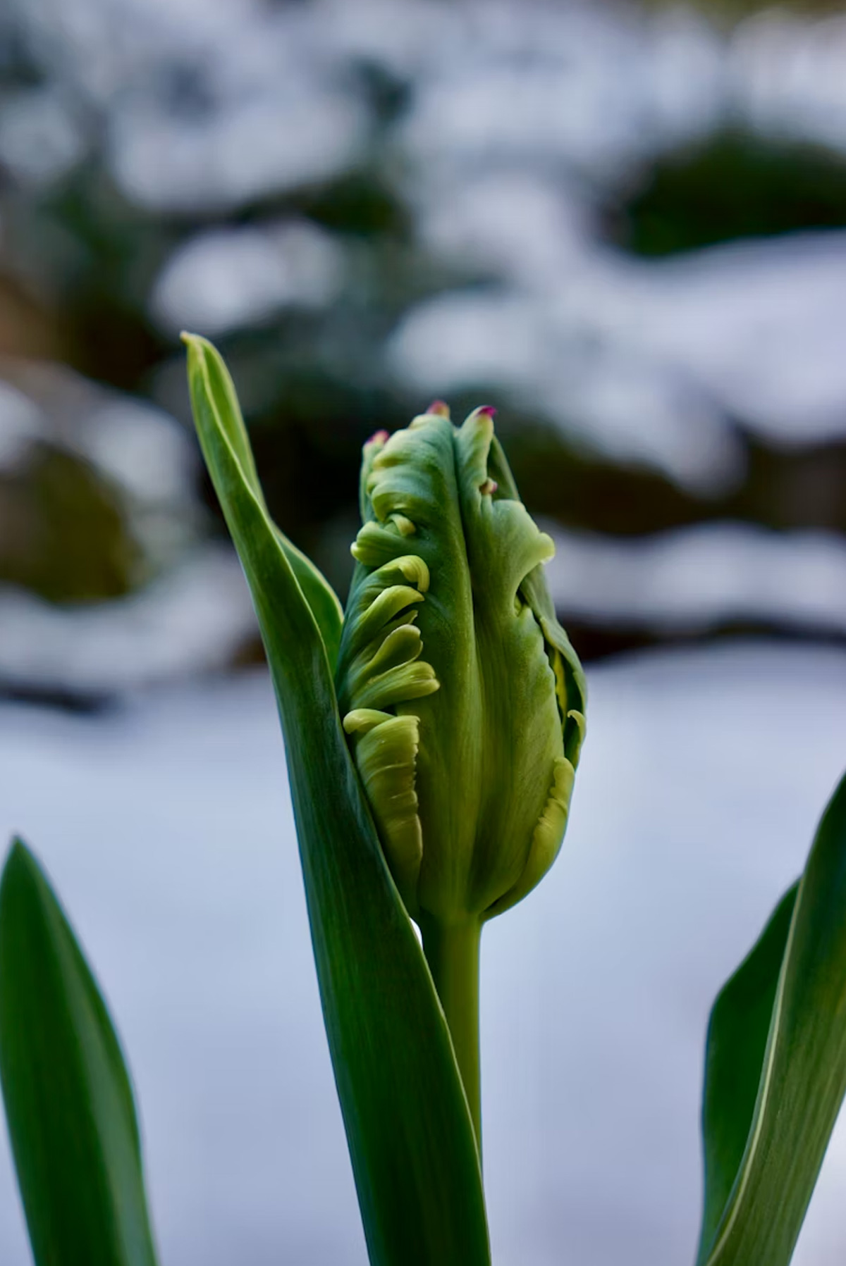 Dagens horoskop: 3 mars 2026