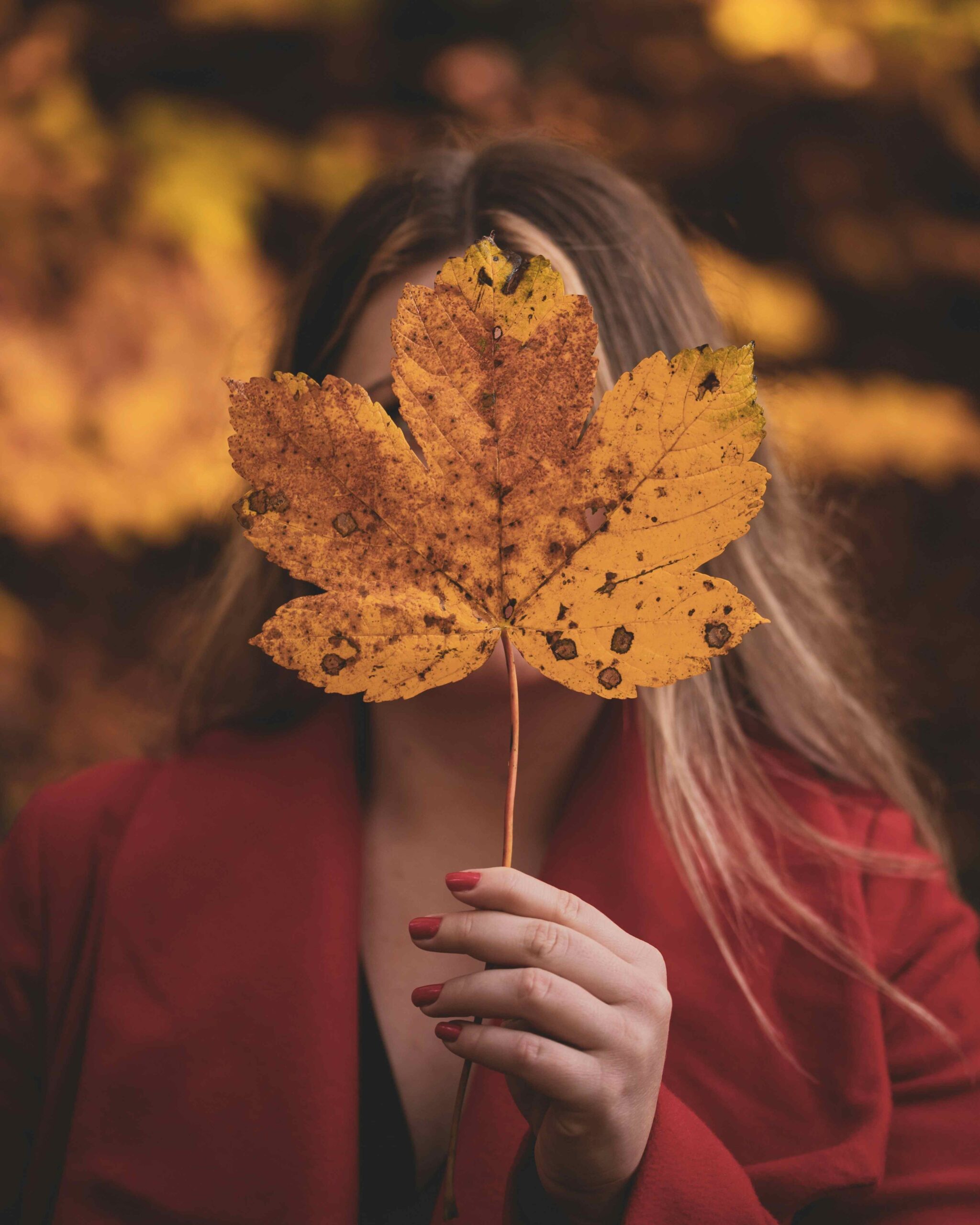 Dagens horoskop 13 september