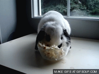 Popcorn.