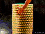domino