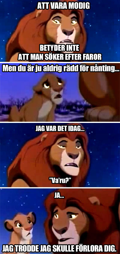 Vad vi lärde oss av lejonkungen 20 år