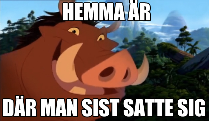 Vad vi lärde oss av lejonkungen 20 år