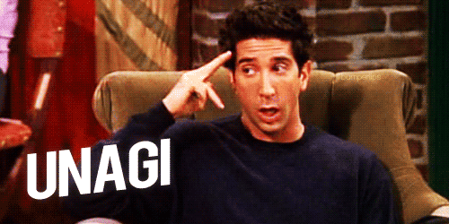 Ross Geller Unagi Vänner
