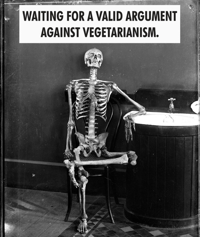 Bacon